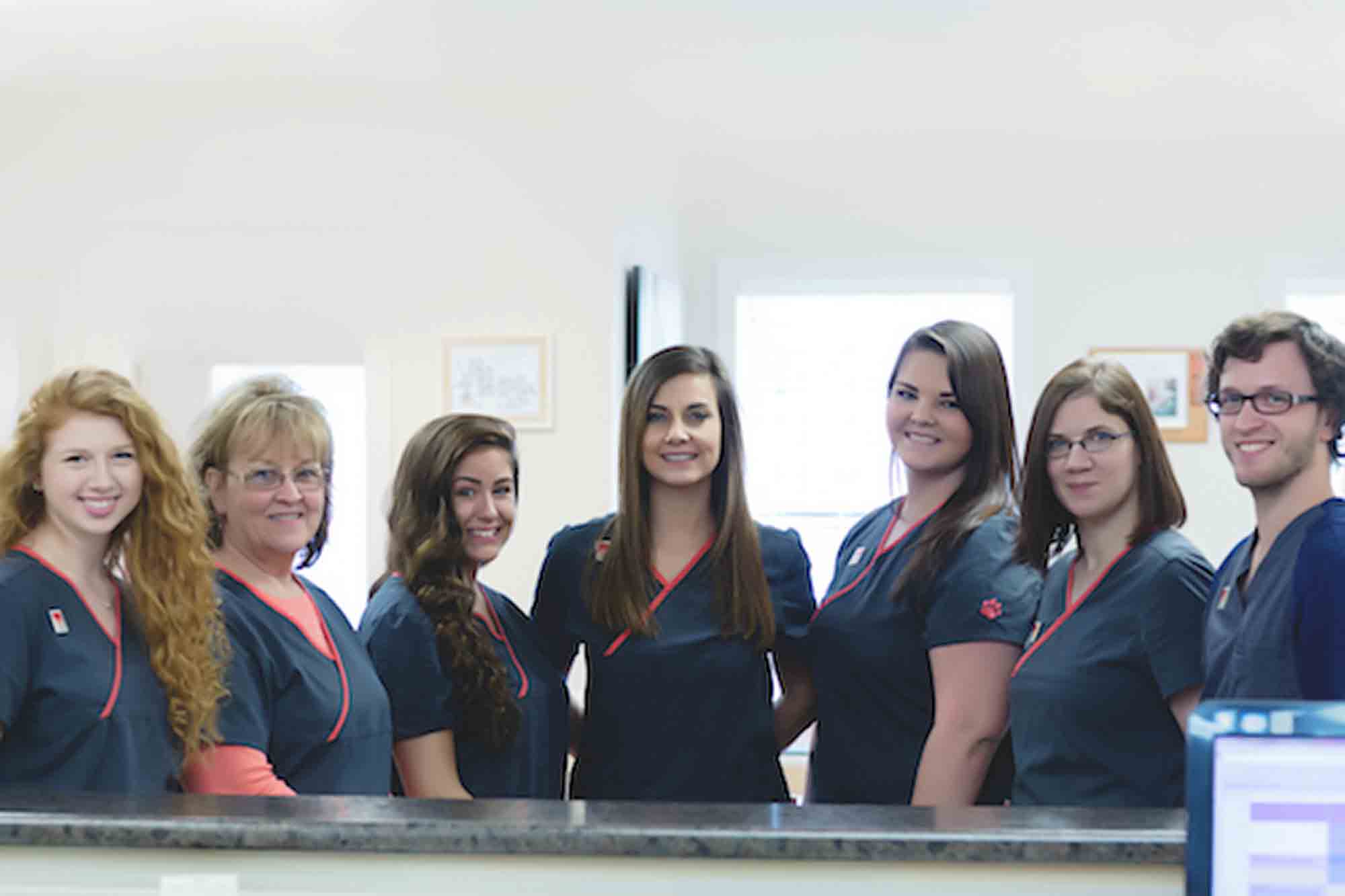 Bridgeport WV Animal Hospital Veterinary Hospital Tour Grace Animal