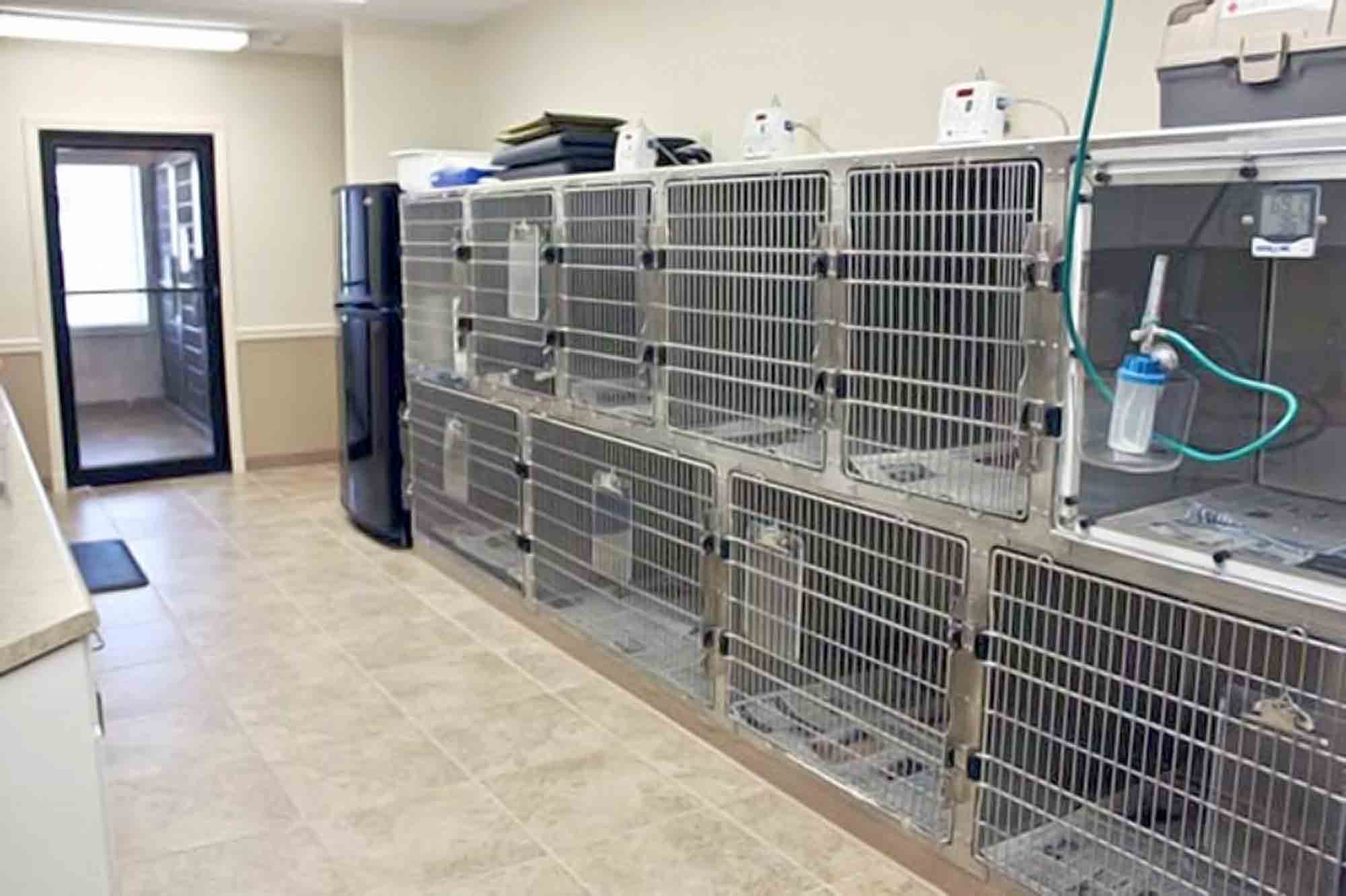 Hospitalization Ward