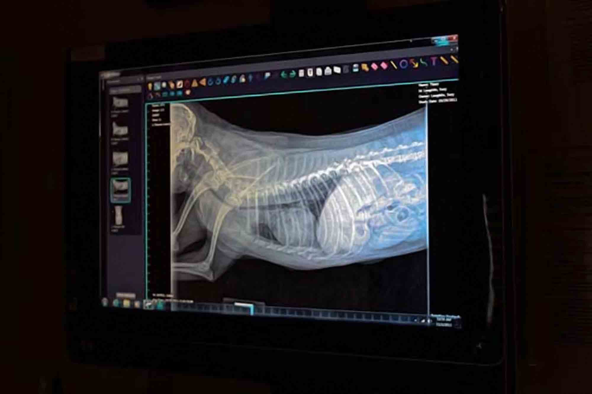 Digital Radiography