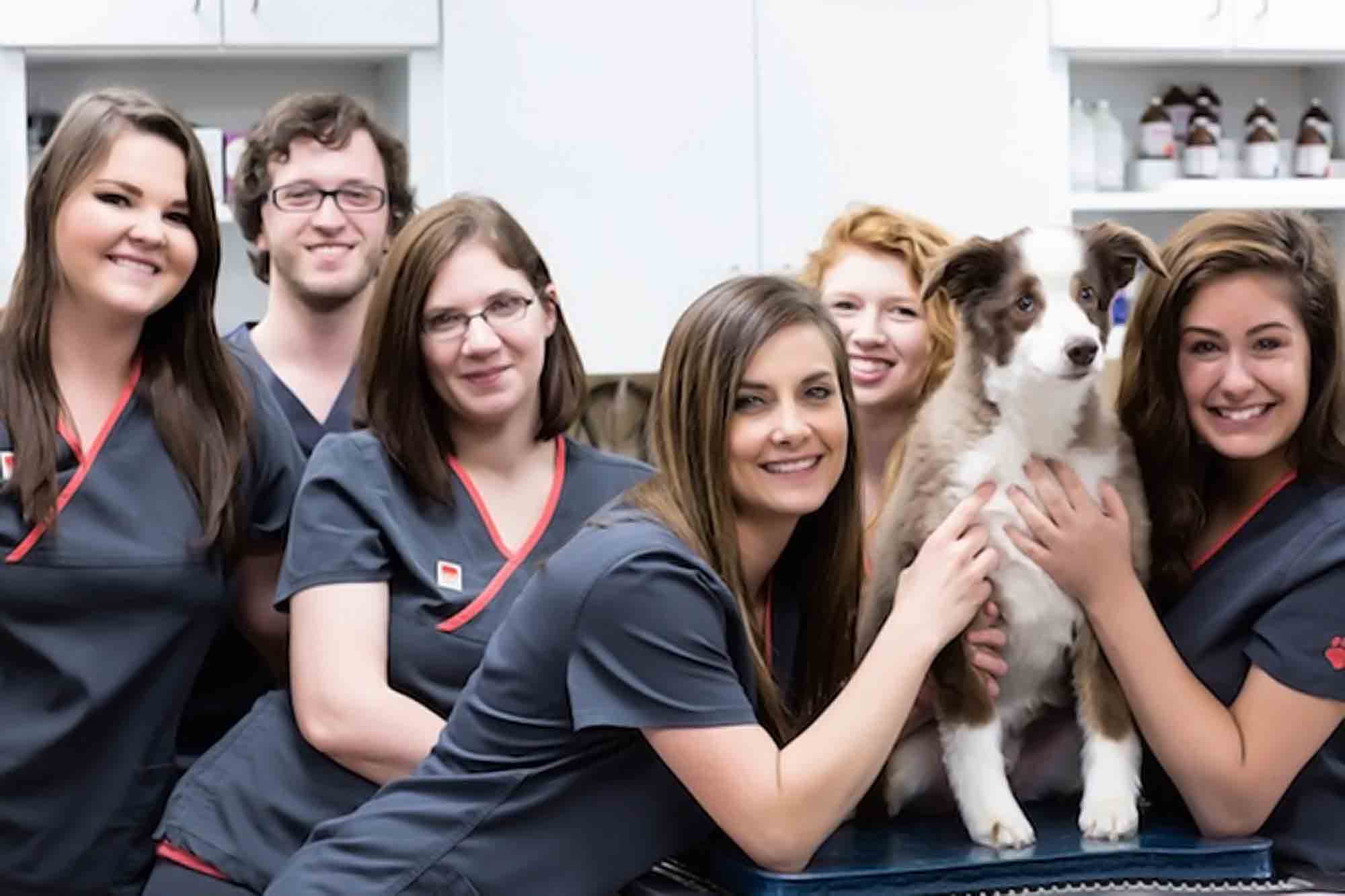 Bridgeport WV Animal Hospital: Veterinary Hospital Tour | Grace Animal