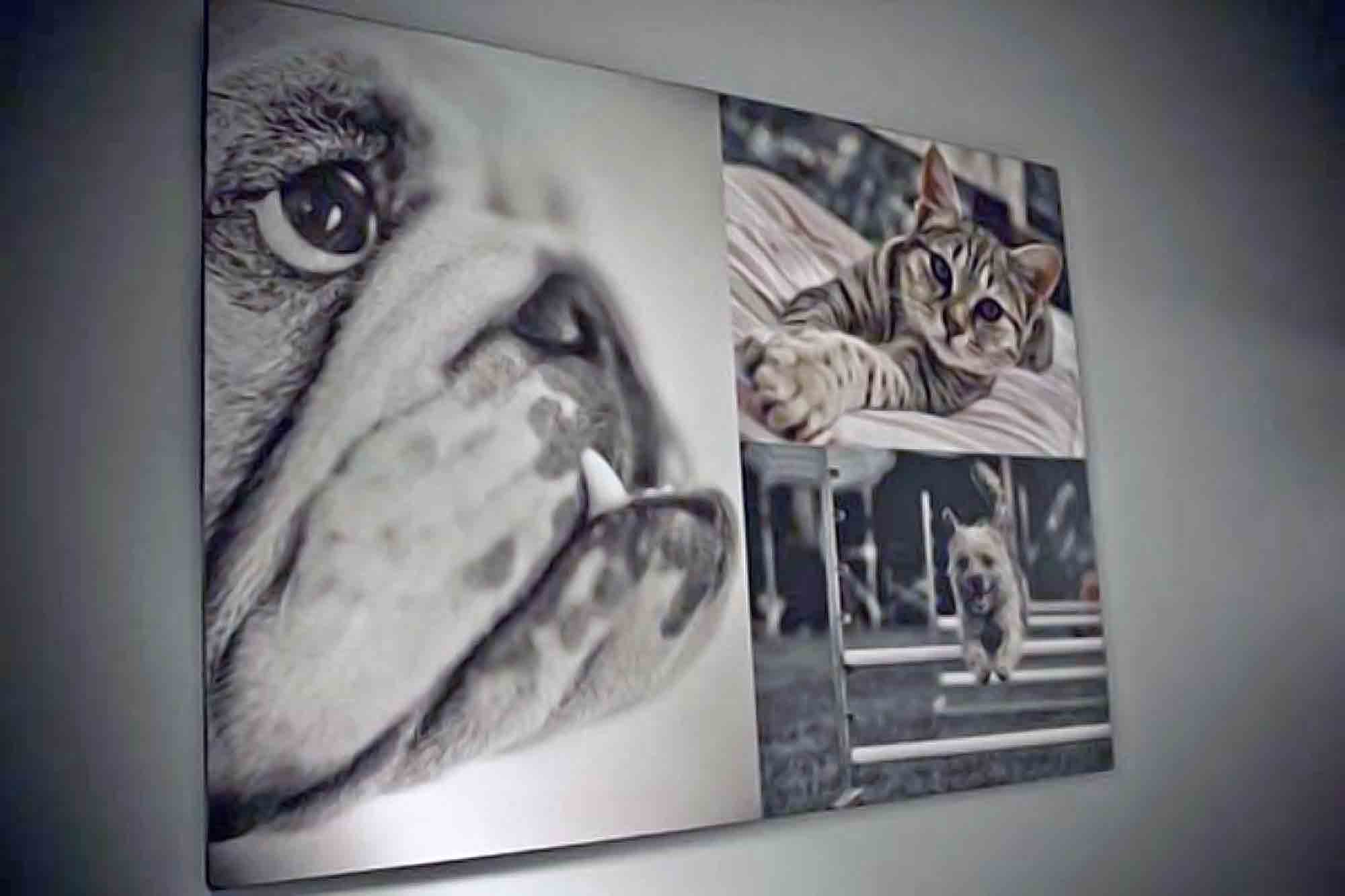 Grace Animal Hospital
