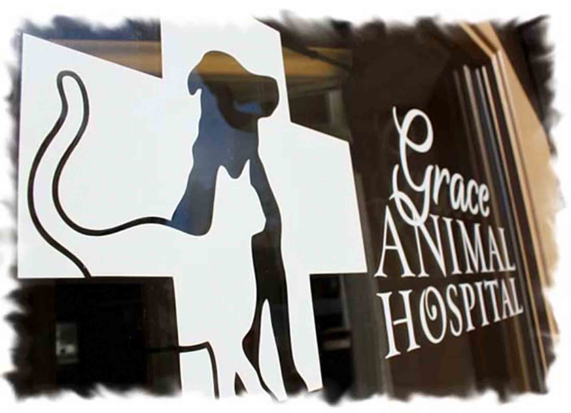 Grace Animal Hospital
