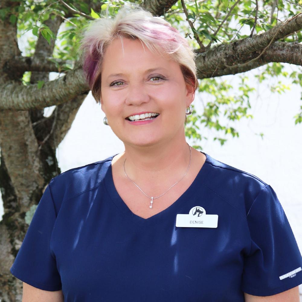 Denise Christafore
